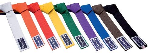 Blitz Plain Coloured Grading Belt